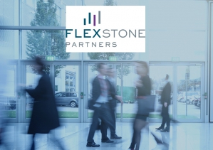 © Flexstone Partners