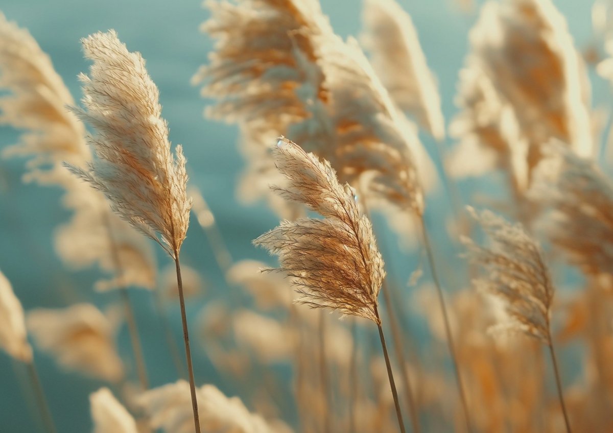 © Adobe Stock