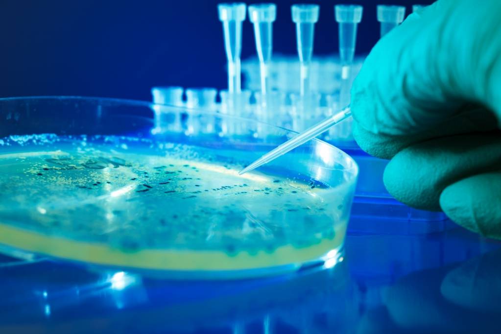 © AgomAb Therapeutics
