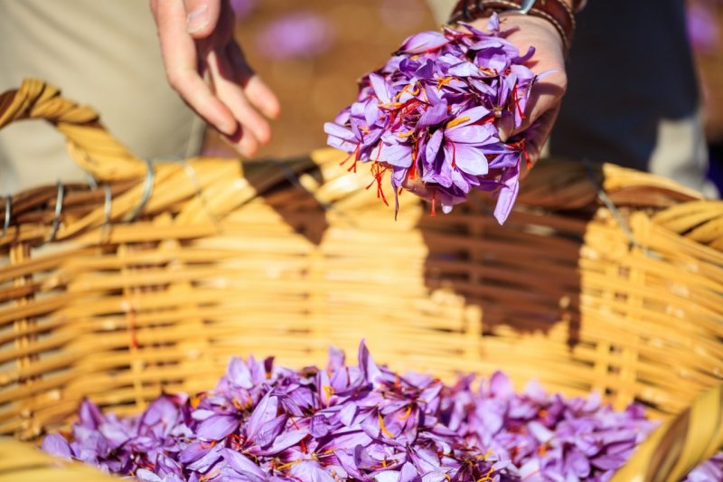 © Adobe stock