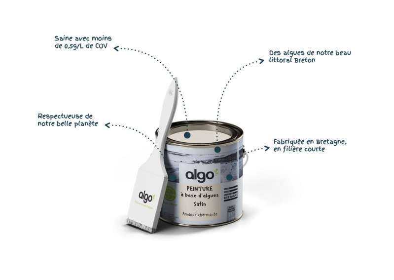 © Algo Paint 