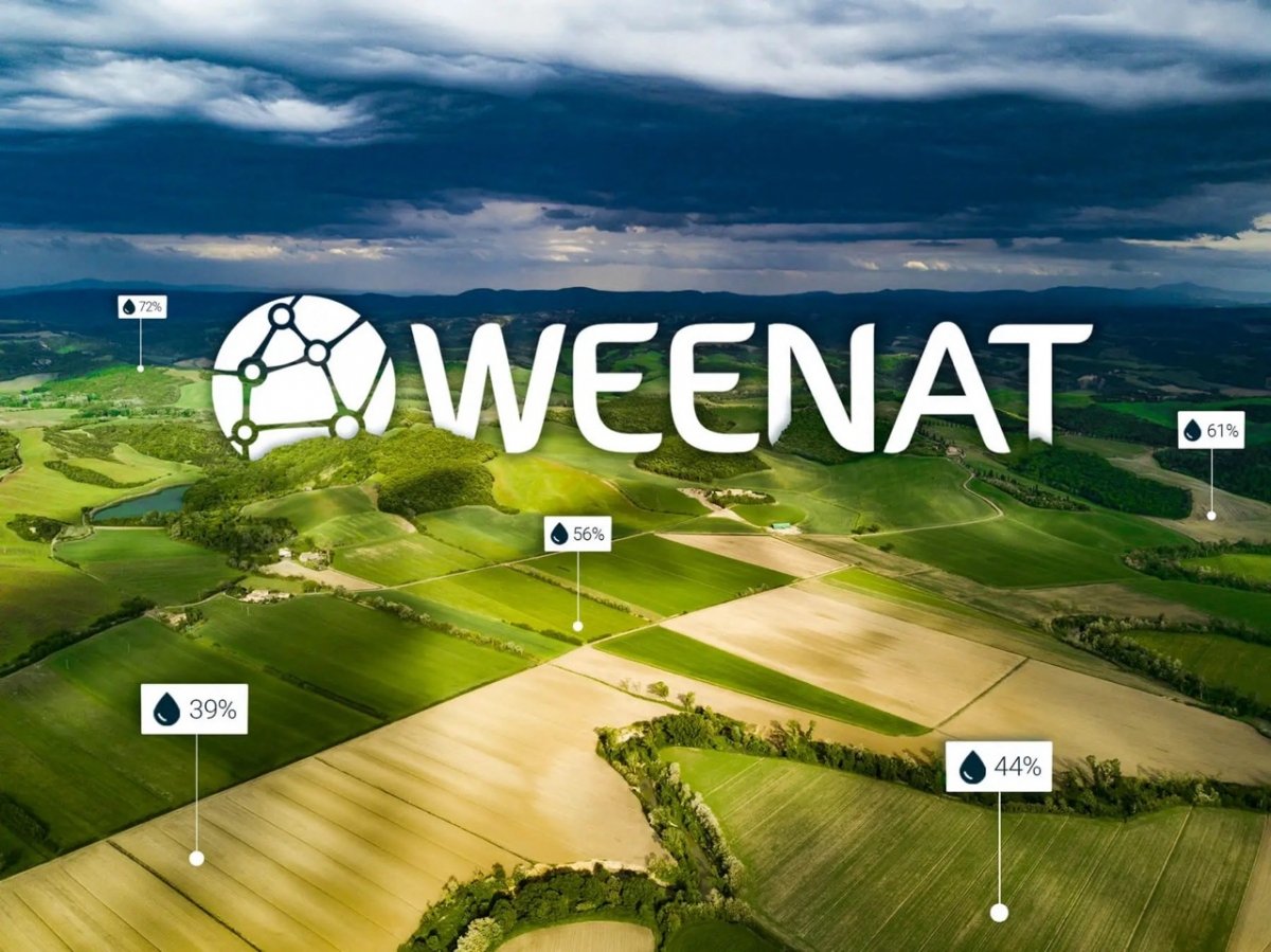 Weenat
