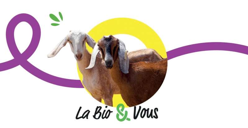 © Relais Vert 