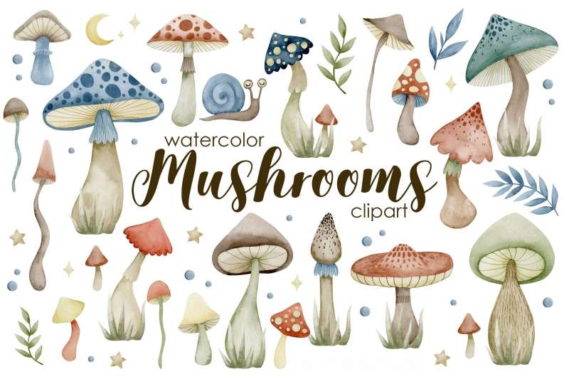© Creative Fabrica