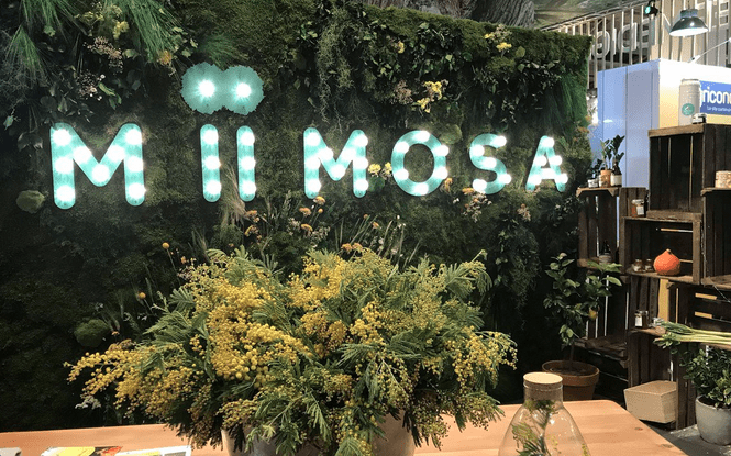 © MiiMOSA
