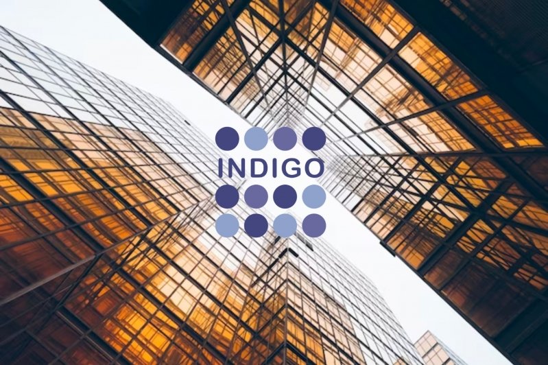 © Freepik © Indigo Capital