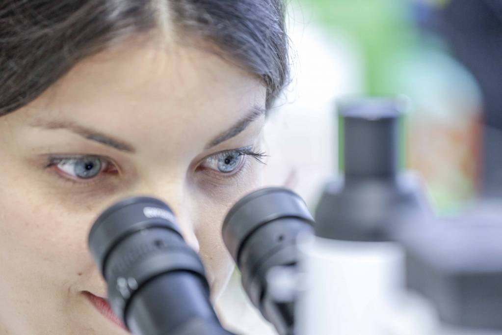 ElsaLys Biotech UNE