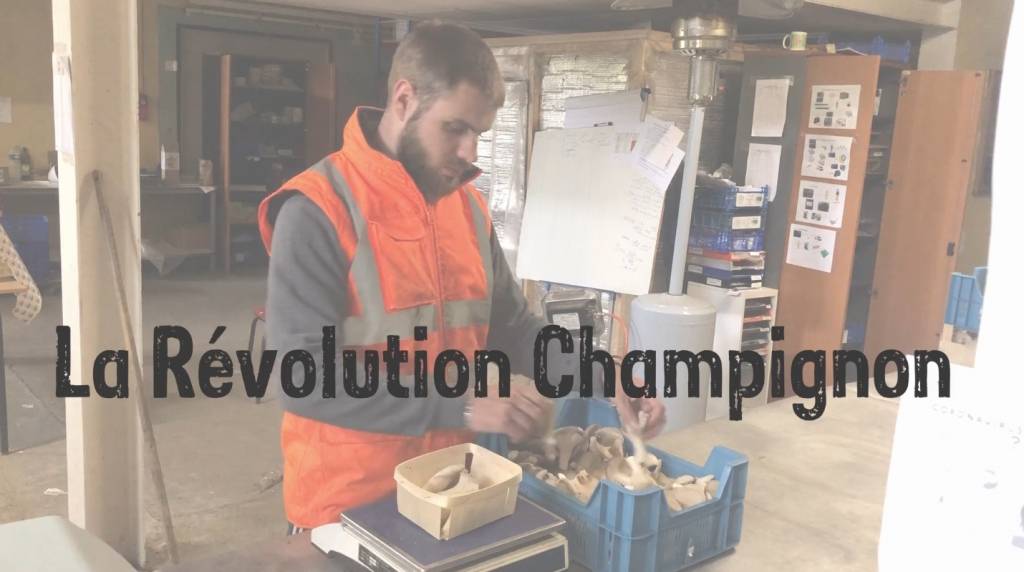 © La Révolution Champignon