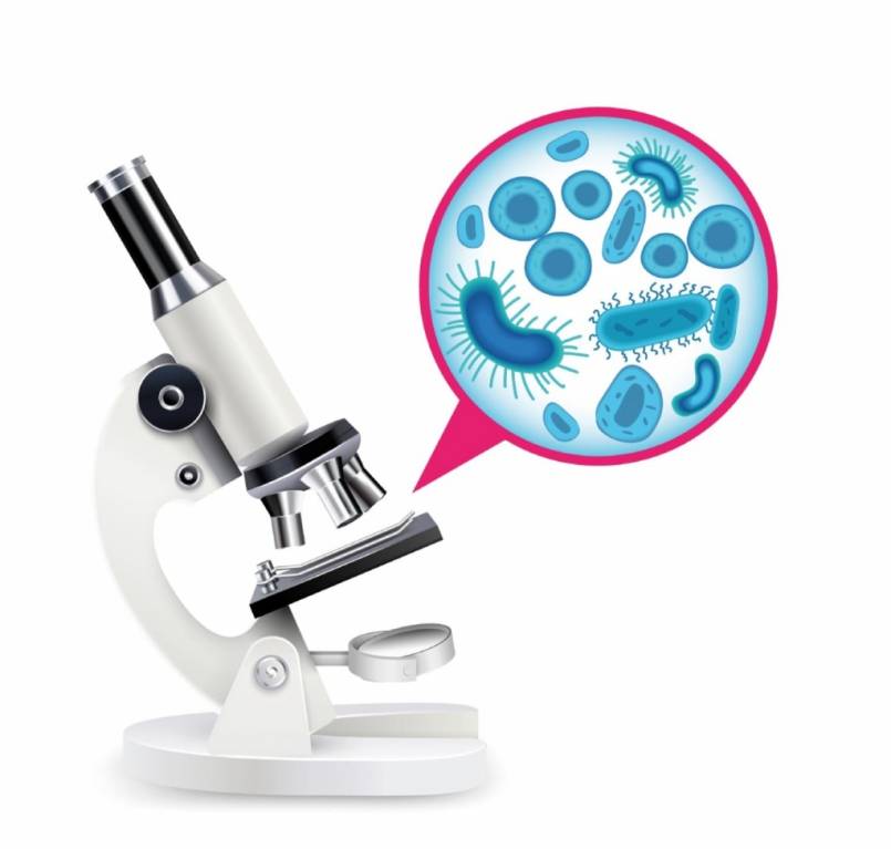 Microscope Nahibu