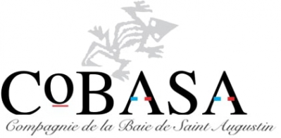 Cobasa