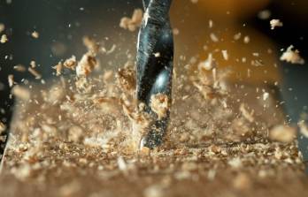 © Adobe Stock