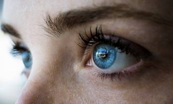 © Adobe Stock
