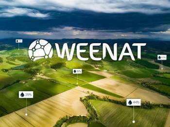 Weenat
