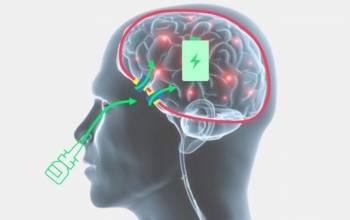 © Ceres Brain Therapeutics 