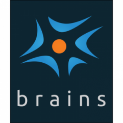 Brains