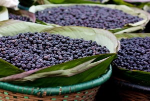 Baies d'açaï - ©Camila Neves Rodrigues da Silva