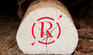 Bois Rougier